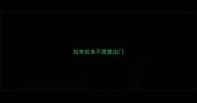 拉布拉多不愿意出门