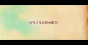 拉布拉多前腿长湿疹