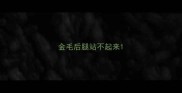 金毛后腿站不起来
