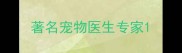 著名宠物医生专家