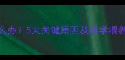 幼犬食欲不振怎么办5大关键原因及科学喂养指南附食谱
