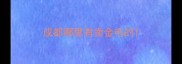 成都哪里有卖金毛的