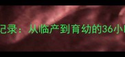 小狗产子全记录从临产到育幼的36小时暖心历程