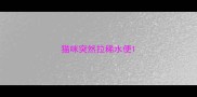 猫咪突然拉稀水便