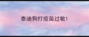 泰迪狗打疫苗过敏