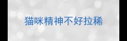 猫咪精神不好拉稀