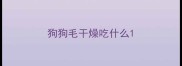 狗狗毛干燥吃什么
