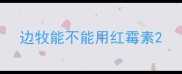 边牧能不能用红霉素