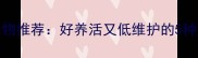 高性价比宠物推荐好养活又低维护的5种清洁型宠物