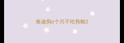 泰迪狗6个月不吃狗粮