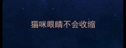 猫咪眼睛不会收缩