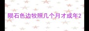 陨石色边牧照几个月才成年
