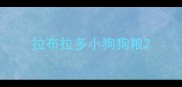 拉布拉多小狗狗粮