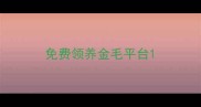 免费领养金毛平台