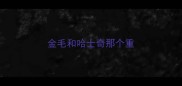 金毛和哈士奇那个重