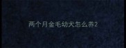 两个月金毛幼犬怎么养