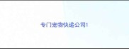 专门宠物快递公司