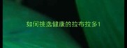 如何挑选健康的拉布拉多