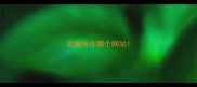 卖猫咪在哪个网站
