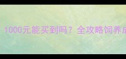 哈士奇价格1000元能买到吗全攻略饲养成本与性价比