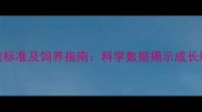 六个月德牧体重标准及饲养指南科学数据揭示成长规律与健康管理