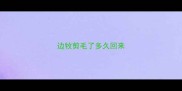 边牧剪毛了多久回来