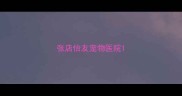 张店怡友宠物医院