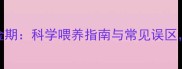 2月龄幼犬喂食黄金期科学喂养指南与常见误区新手家长必看