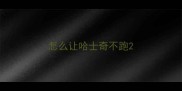 怎么让哈士奇不跑