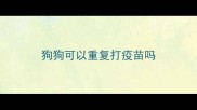 狗狗可以重复打疫苗吗