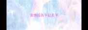 宠物起名字起名字