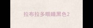 拉布拉多眼睛黑色