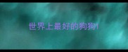 世界上最好的狗狗