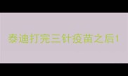 泰迪打完三针疫苗之后