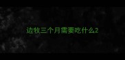 边牧三个月需要吃什么