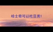 哈士奇可以吃豆类