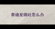 泰迪发烧吐怎么办