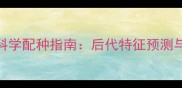 红泰迪与灰泰迪科学配种指南后代特征预测与繁殖注意事项全