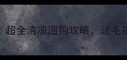 夏天遛哈士奇必看超全清凉遛狗攻略让毛孩子告别中暑烦恼
