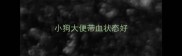 小狗大便带血状态好