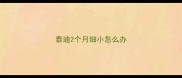 泰迪2个月细小怎么办