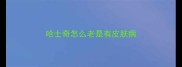 哈士奇怎么老是有皮肤病
