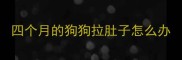 四个月的狗狗拉肚子怎么办
