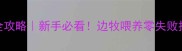 边境牧羊犬家庭饲养全攻略新手必看边牧喂养零失败指南附饮食运动表