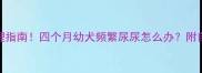 紧急处理指南四个月幼犬频繁尿尿怎么办附自救攻略