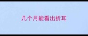 几个月能看出折耳