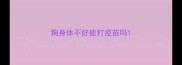 狗身体不好能打疫苗吗