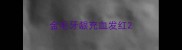 金毛牙龈充血发红