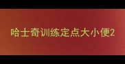 哈士奇训练定点大小便