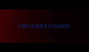 小猫打完疫苗多久可以吃奶